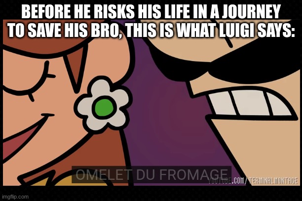 The Most Random Thing To Ever Say To A Princess | BEFORE HE RISKS HIS LIFE IN A JOURNEY TO SAVE HIS BRO, THIS IS WHAT LUIGI SAYS: | image tagged in free,terminalmontage,super smash bros,luigi,daisy,random | made w/ Imgflip meme maker