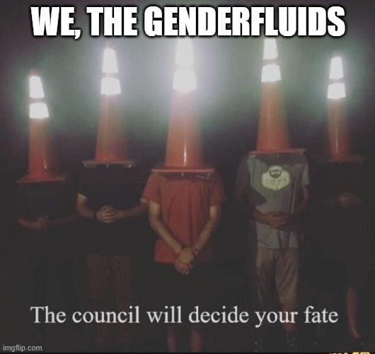 the council will decide your fate | WE, THE GENDERFLUIDS | image tagged in the council will decide your fate | made w/ Imgflip meme maker