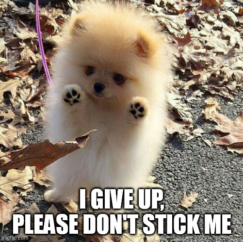 Pomeranian puppy is afraid of a leaf... | I GIVE UP,
PLEASE DON'T STICK ME | image tagged in pomeranian puppy | made w/ Imgflip meme maker