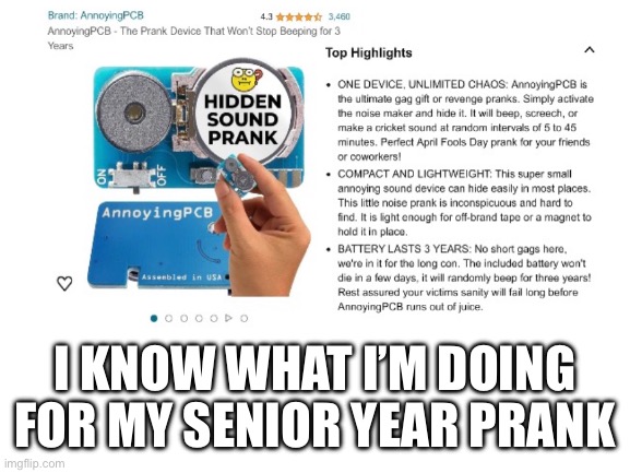 trolled | I KNOW WHAT I’M DOING FOR MY SENIOR YEAR PRANK | image tagged in blank white template | made w/ Imgflip meme maker