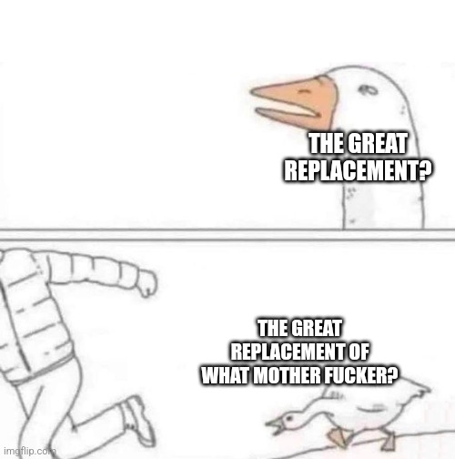 Goose Chase | THE GREAT REPLACEMENT? THE GREAT REPLACEMENT OF WHAT MOTHER FUCKER? | image tagged in goose chase | made w/ Imgflip meme maker