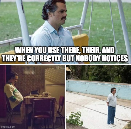 Sad Pablo Escobar | WHEN YOU USE THERE, THEIR, AND THEY'RE CORRECTLY BUT NOBODY NOTICES | image tagged in memes,sad pablo escobar | made w/ Imgflip meme maker