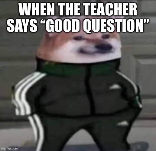 Prowd Dawg | WHEN THE TEACHER SAYS “GOOD QUESTION” | image tagged in slav doge,doge,cool | made w/ Imgflip meme maker