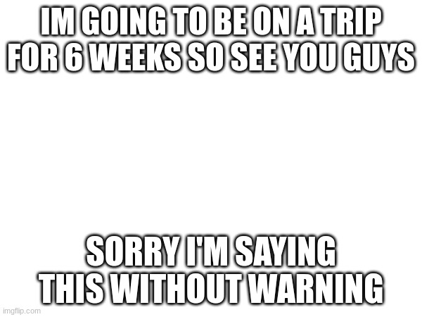 see ya soon | IM GOING TO BE ON A TRIP FOR 6 WEEKS SO SEE YOU GUYS; SORRY I'M SAYING THIS WITHOUT WARNING | image tagged in not a meme,announcement | made w/ Imgflip meme maker