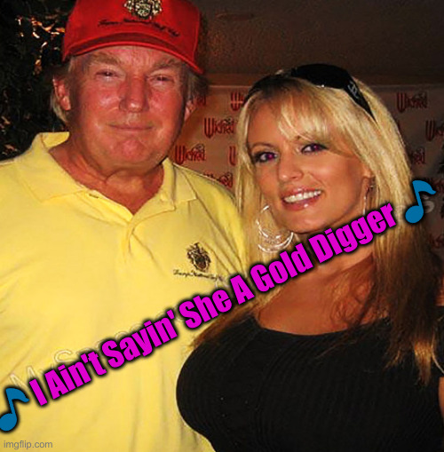 Go On, Girl Got Down | 🎵 I Ain't Sayin' She A Gold Digger 🎵 | image tagged in stormy daniels,political meme,politics,funny memes,funny | made w/ Imgflip meme maker