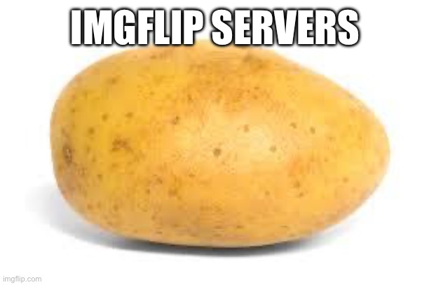 Potato | IMGFLIP SERVERS | image tagged in potato | made w/ Imgflip meme maker