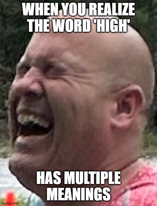 HIGH | WHEN YOU REALIZE THE WORD 'HIGH'; HAS MULTIPLE MEANINGS | image tagged in high | made w/ Imgflip meme maker