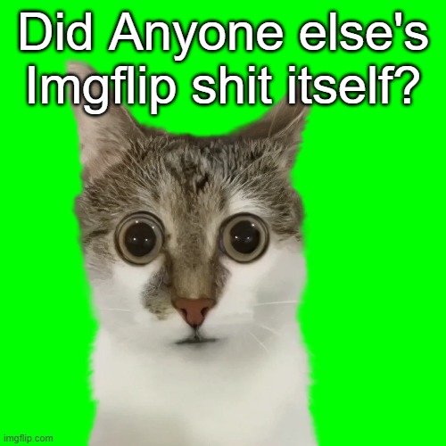Imgflip was being dookie | Did Anyone else's Imgflip shit itself? | made w/ Imgflip meme maker