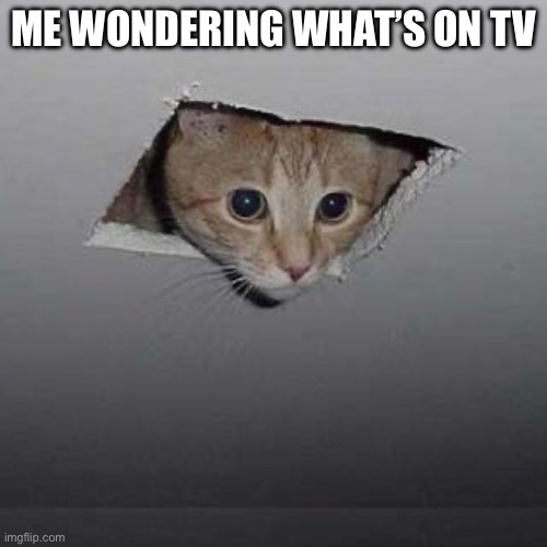 ? | ME WONDERING WHAT’S ON TV | image tagged in memes,ceiling cat,meow | made w/ Imgflip meme maker