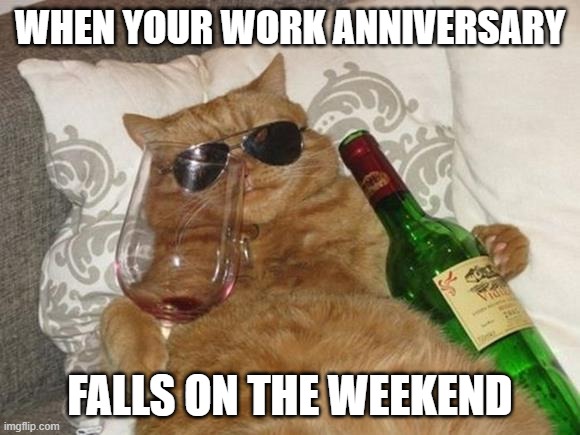 Work Anniversary Weekend | WHEN YOUR WORK ANNIVERSARY; FALLS ON THE WEEKEND | image tagged in funny cat birthday | made w/ Imgflip meme maker