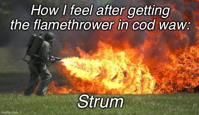Fr fr | How I feel after getting the flamethrower in cod waw:; Strum | image tagged in flamethrower | made w/ Imgflip meme maker