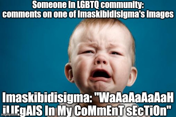 crybaby | Someone in LGBTQ community: comments on one of Imaskibidisigma's images; Imaskibidisigma: "WaAaAaAaAaH iLlEgAlS In My CoMmEnT sEcTiOn" | image tagged in crybaby | made w/ Imgflip meme maker