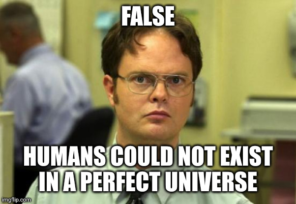 Dwight Schrute | FALSE; HUMANS COULD NOT EXIST
IN A PERFECT UNIVERSE | image tagged in memes,dwight schrute | made w/ Imgflip meme maker