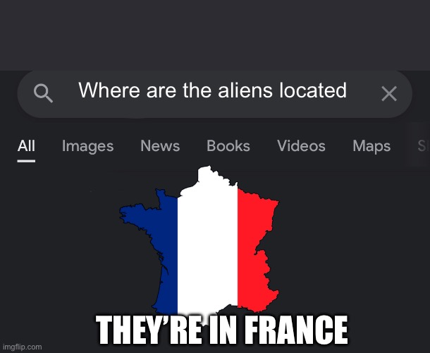 WHAT?? | Where are the aliens located; THEY’RE IN FRANCE | image tagged in fake search | made w/ Imgflip meme maker