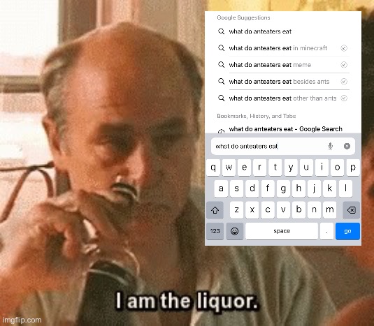 i may be a wee bit tipsy | image tagged in jim lahey i am the liquor | made w/ Imgflip meme maker