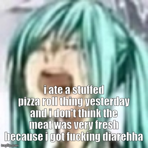 IM IN MY BED LIKE THE FUCKING NERMAL TRASHCAN GIF ? | i ate a stuffed pizza roll thing yesterday and i don't think the meat was very fresh because i got fucking diarehha | image tagged in miku depression | made w/ Imgflip meme maker
