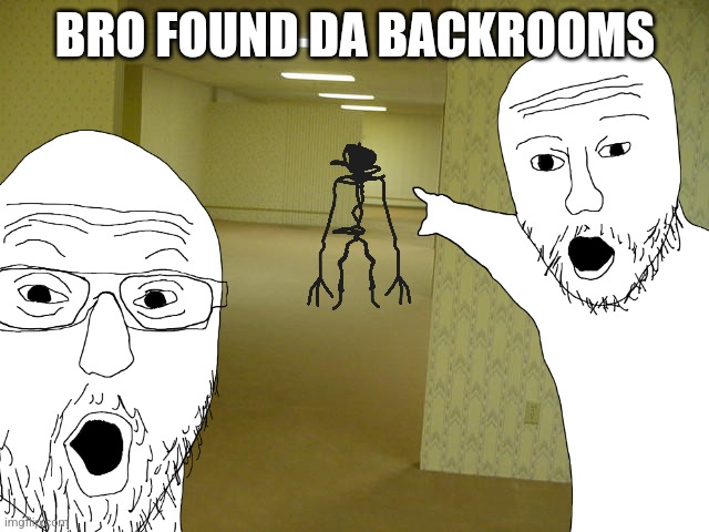 bro found da backrooms | BRO FOUND DA BACKROOMS | image tagged in the backrooms | made w/ Imgflip meme maker