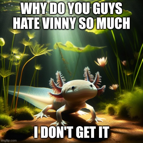 axolotl | WHY DO YOU GUYS HATE VINNY SO MUCH; I DON'T GET IT | image tagged in axolotl | made w/ Imgflip meme maker