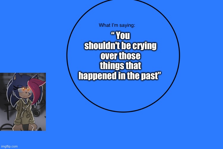 AniThehedgehog’s announcement temp | “ You shouldn't be crying over those things that happened in the past” | image tagged in anithehedgehog s announcement temp | made w/ Imgflip meme maker