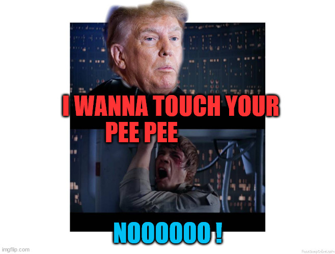 Trump No | I WANNA TOUCH YOUR PEE PEE; NOOOOOO ! | image tagged in star wars trump no | made w/ Imgflip meme maker