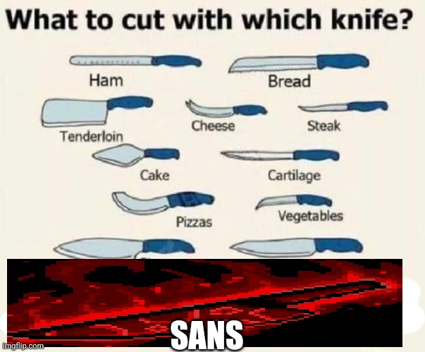 What to cut with which knife | SANS | image tagged in what to cut with which knife | made w/ Imgflip meme maker