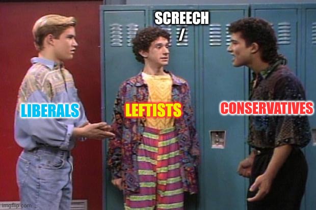 American politics personified | SCREECH
/; CONSERVATIVES; LEFTISTS; LIBERALS | image tagged in saved by the bell,conservatives,liberals,leftists,screech | made w/ Imgflip meme maker