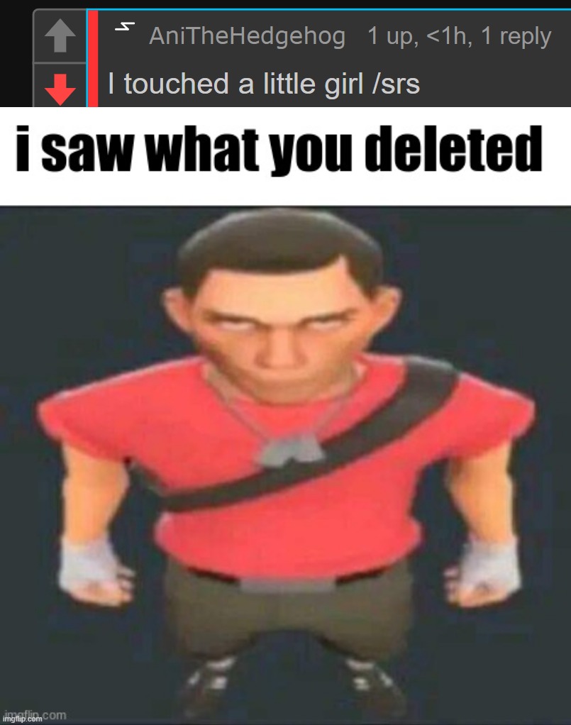 image tagged in i saw what you deleted scout | made w/ Imgflip meme maker