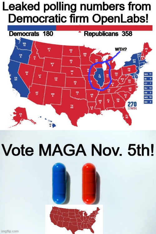 It will be a bloodbath . . . ❤️ | Leaked polling numbers from 
Democratic firm OpenLabs! Democrats  180; Republicans  358; WTH? Vote MAGA Nov. 5th! | image tagged in politics,poll,joe biden,loser,donald trump,winner | made w/ Imgflip meme maker