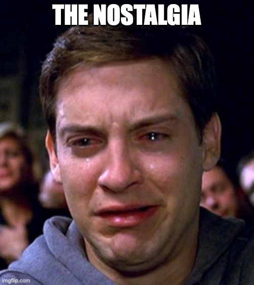 crying peter parker | THE NOSTALGIA | image tagged in crying peter parker | made w/ Imgflip meme maker