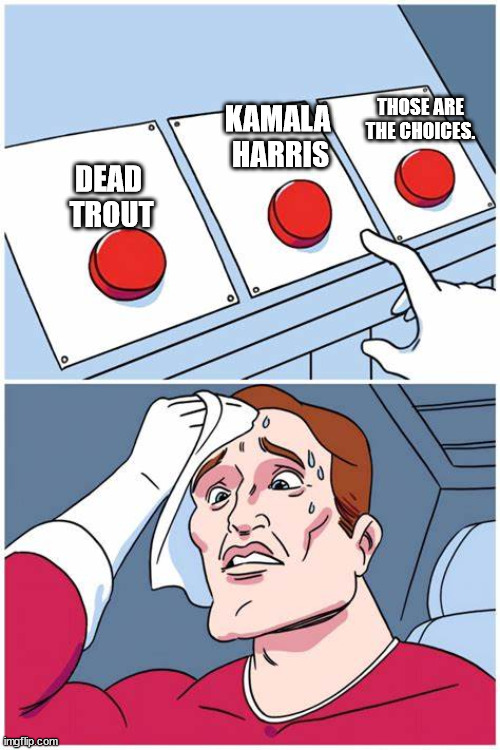 i cant decide | THOSE ARE THE CHOICES. KAMALA 
HARRIS; DEAD 
TROUT | image tagged in i cant decide | made w/ Imgflip meme maker
