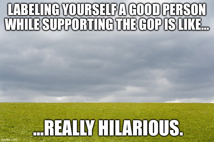 Hilarious republicans | LABELING YOURSELF A GOOD PERSON WHILE SUPPORTING THE GOP IS LIKE…; …REALLY HILARIOUS. | image tagged in empty field | made w/ Imgflip meme maker