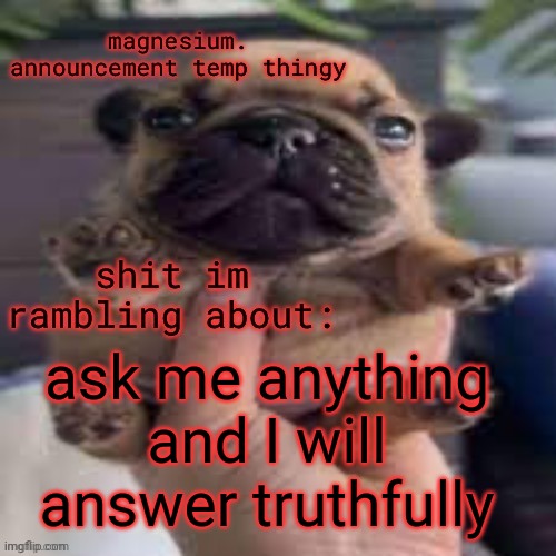 pug temp | ask me anything and I will answer truthfully | image tagged in pug temp | made w/ Imgflip meme maker