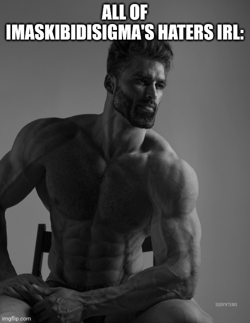 Giga Chad | ALL OF IMASKIBIDISIGMA'S HATERS IRL: | image tagged in giga chad | made w/ Imgflip meme maker