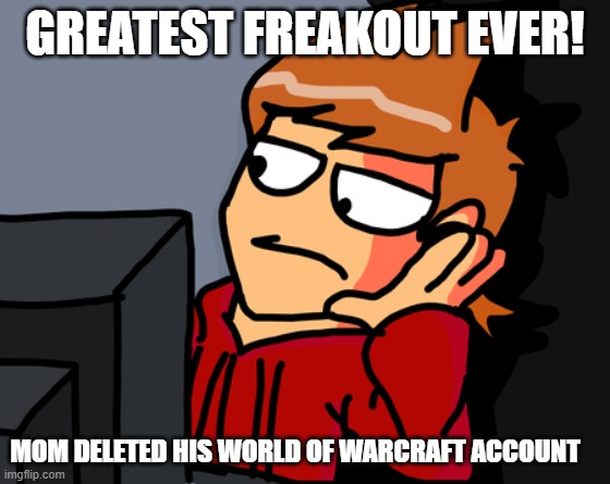 tord reacts greatest freakout ever! | GREATEST FREAKOUT EVER! MOM DELETED HIS WORLD OF WARCRAFT ACCOUNT | image tagged in tord reaction,eddsworld,memes,world of warcraft,freak out | made w/ Imgflip meme maker