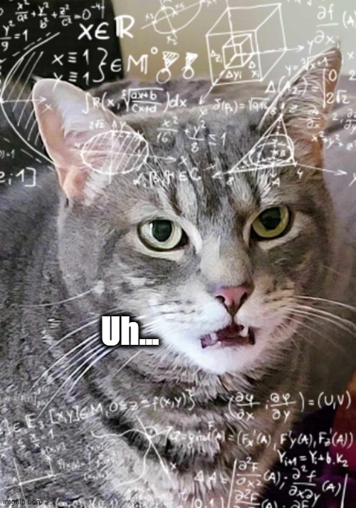 Me in Math Class | Uh... | image tagged in math,maths,mathematics,math is math,cat | made w/ Imgflip meme maker