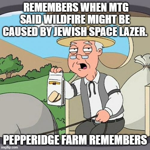 Pepperidge Farm Remembers Meme | REMEMBERS WHEN MTG SAID WILDFIRE MIGHT BE CAUSED BY JEWISH SPACE LAZER. PEPPERIDGE FARM REMEMBERS | image tagged in memes,pepperidge farm remembers | made w/ Imgflip meme maker