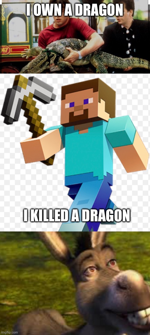 >:) | I OWN A DRAGON; I KILLED A DRAGON | image tagged in sus | made w/ Imgflip meme maker