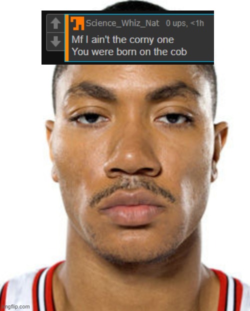 Derrick Rose Straight Face | image tagged in derrick rose straight face | made w/ Imgflip meme maker