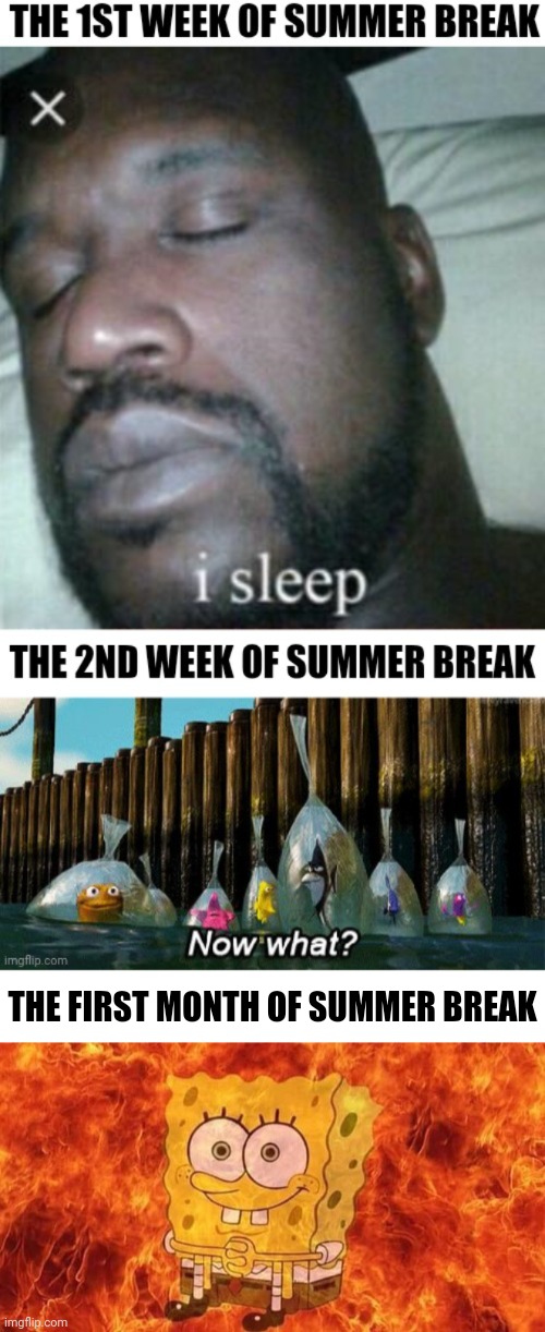 We continue | THE FIRST MONTH OF SUMMER BREAK | image tagged in memes,funny,sleeping shaq,now what,spongebob on fire,summer vacation | made w/ Imgflip meme maker