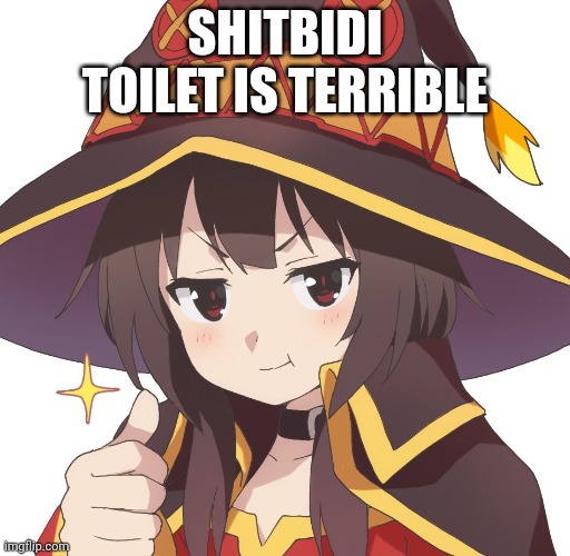 Megumin | SHITBIDI TOILET IS TERRIBLE | image tagged in megumin | made w/ Imgflip meme maker