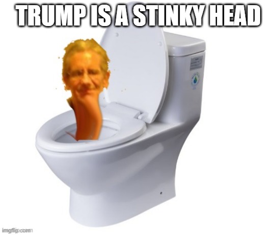 Jeffrey Skibidi Toilet | TRUMP IS A STINKY HEAD | image tagged in jeffrey skibidi toilet | made w/ Imgflip meme maker