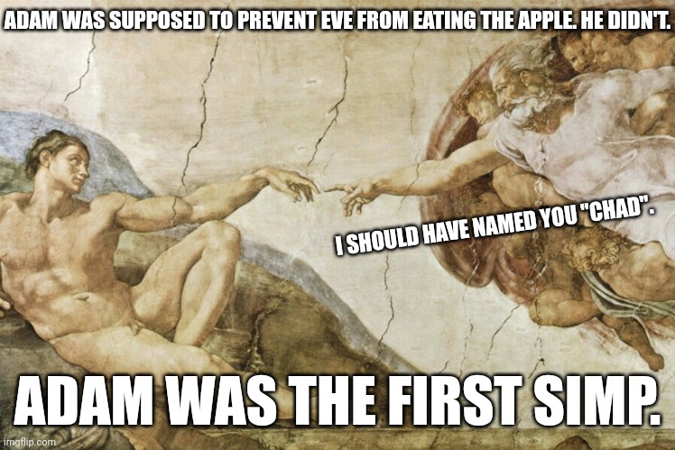 I guess he didn't know better. | ADAM WAS SUPPOSED TO PREVENT EVE FROM EATING THE APPLE. HE DIDN'T. I SHOULD HAVE NAMED YOU "CHAD". ADAM WAS THE FIRST SIMP. | image tagged in creation of adam | made w/ Imgflip meme maker