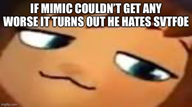smug hat kid.mp4 | IF MIMIC COULDN’T GET ANY WORSE IT TURNS OUT HE HATES SVTFOE | image tagged in smug hat kid mp4 | made w/ Imgflip meme maker