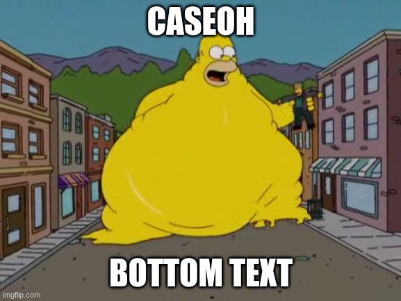 CaseOh | CASEOH; BOTTOM TEXT | image tagged in fat homer | made w/ Imgflip meme maker