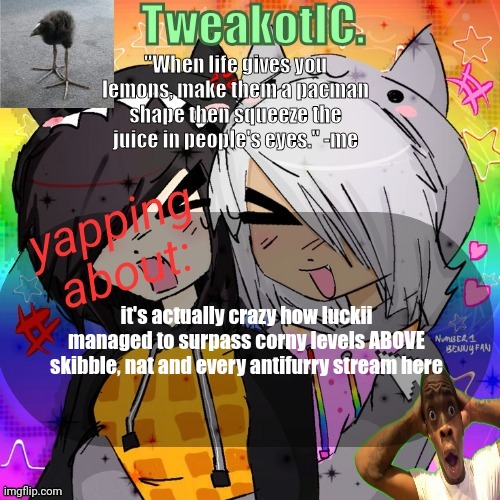 smores 14th announcement temp | it's actually crazy how luckii managed to surpass corny levels ABOVE skibble, nat and every antifurry stream here | image tagged in smores 14th announcement temp | made w/ Imgflip meme maker