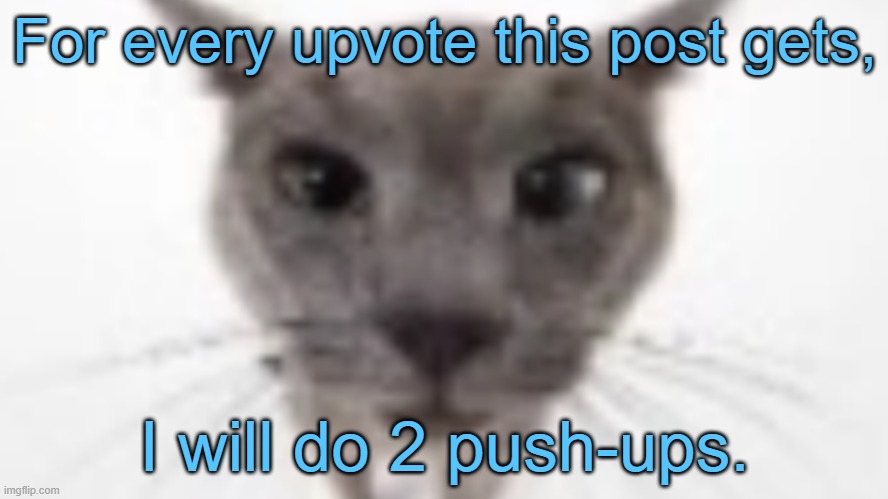 I gotta lock in and actually do it | For every upvote this post gets, I will do 2 push-ups. | image tagged in fun,hot page,cats | made w/ Imgflip meme maker