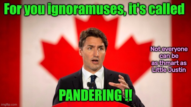 Justin Trudeau | For you ignoramuses, it's called PANDERING !! Not everyone can be as thmart as Little Justin | image tagged in justin trudeau | made w/ Imgflip meme maker