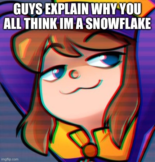 Smug hat kid | GUYS EXPLAIN WHY YOU ALL THINK IM A SNOWFLAKE | image tagged in smug hat kid | made w/ Imgflip meme maker