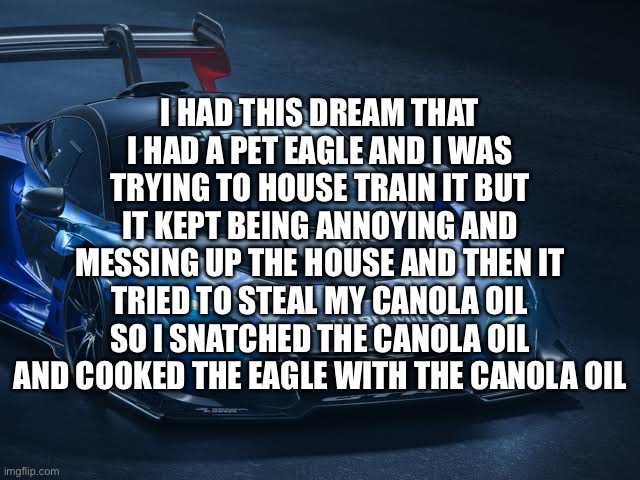 McLaren Senna GTR | I HAD THIS DREAM THAT I HAD A PET EAGLE AND I WAS TRYING TO HOUSE TRAIN IT BUT IT KEPT BEING ANNOYING AND MESSING UP THE HOUSE AND THEN IT TRIED TO STEAL MY CANOLA OIL SO I SNATCHED THE CANOLA OIL AND COOKED THE EAGLE WITH THE CANOLA OIL | image tagged in mclaren senna gtr | made w/ Imgflip meme maker
