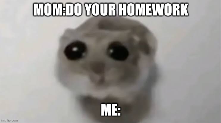 Sad Hamster. | MOM:DO YOUR HOMEWORK; ME: | image tagged in sad hamster | made w/ Imgflip meme maker